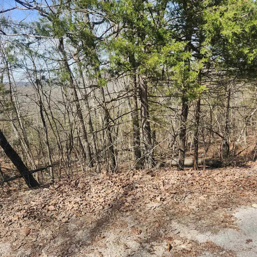 L-43, B-4 Warclub Drive, Cherokee Village, AR 72529 - Image #3