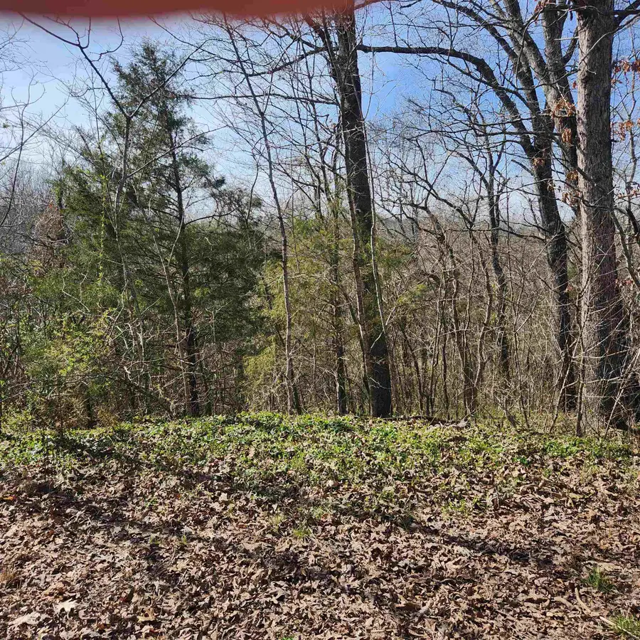 L-3, B-24 Algonquin Circle, Cherokee Village, AR 72529 - Image #2