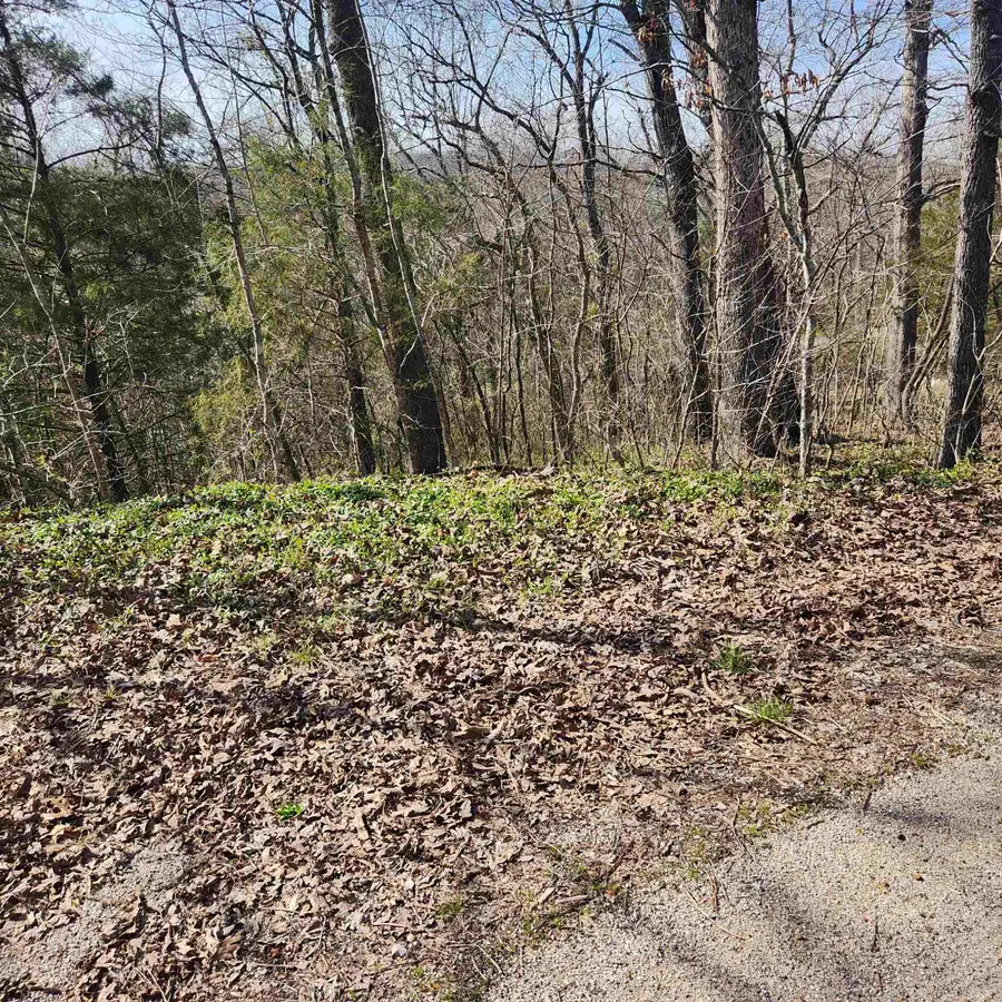 L-3, B-24 Algonquin Circle, Cherokee Village, AR 72529 - Image #3