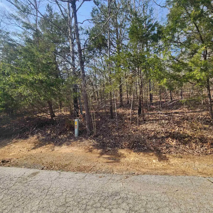 L-63, B-19 E Lakeshore Drive, Cherokee Village, AR 72529 - Image #2