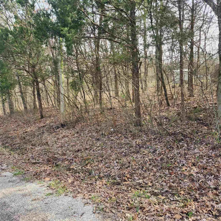 L-9, B-25 Yancopin Drive, Cherokee Village, AR 72529 - Image #3