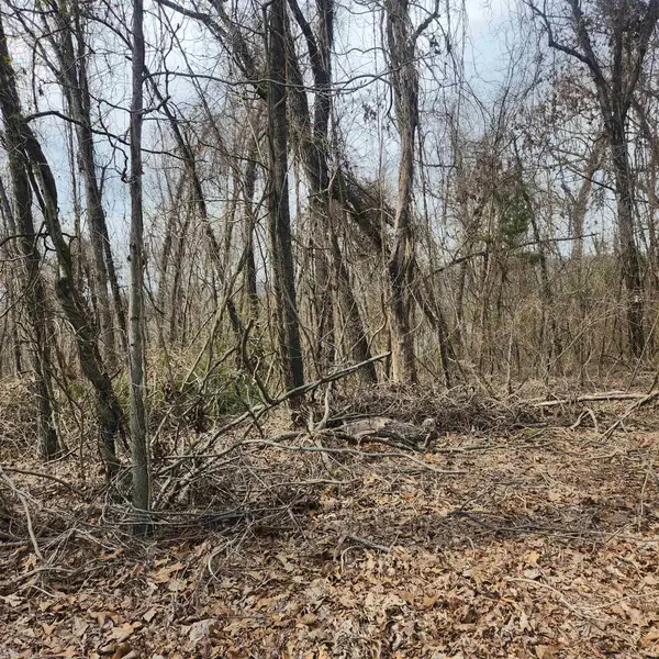 L-1, B-9 Hiawatha Drive, Cherokee Village, AR 72529