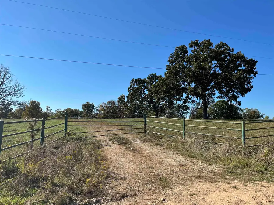 000 County Road 113, Alton, MO 65606 - Image #2