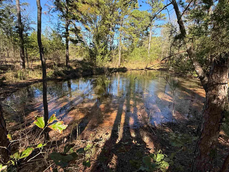 4090 Ar 56 Hwy, Wideman, AR 72585 - Image #2