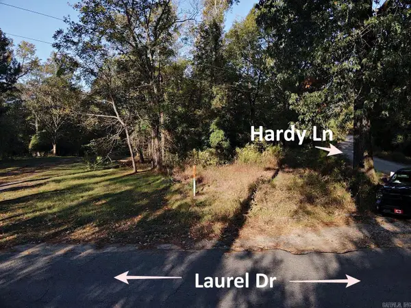 TBD Hardy Lane, Bismarck, AR 71929