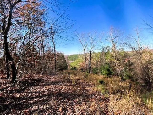 Bear Mountain Road, Greers Ferry, AR 72067 - Image #3