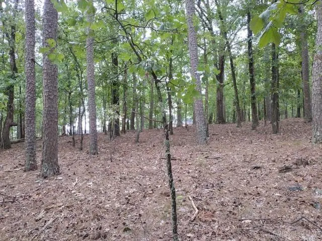 85 Mesero Way, Hot Springs Village, AR 71909 - Image #2