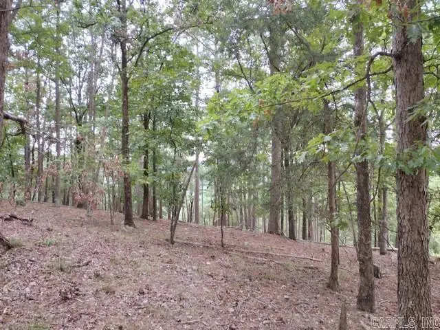 85 Mesero Way, Hot Springs Village, AR 71909 - Image #3