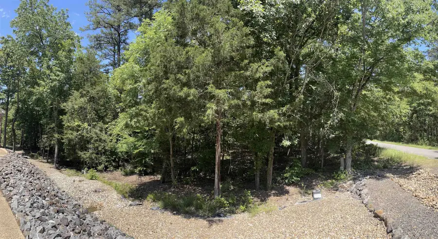 13 Patrulla Lane, Hot Springs Village, AR 71909 - Image #3