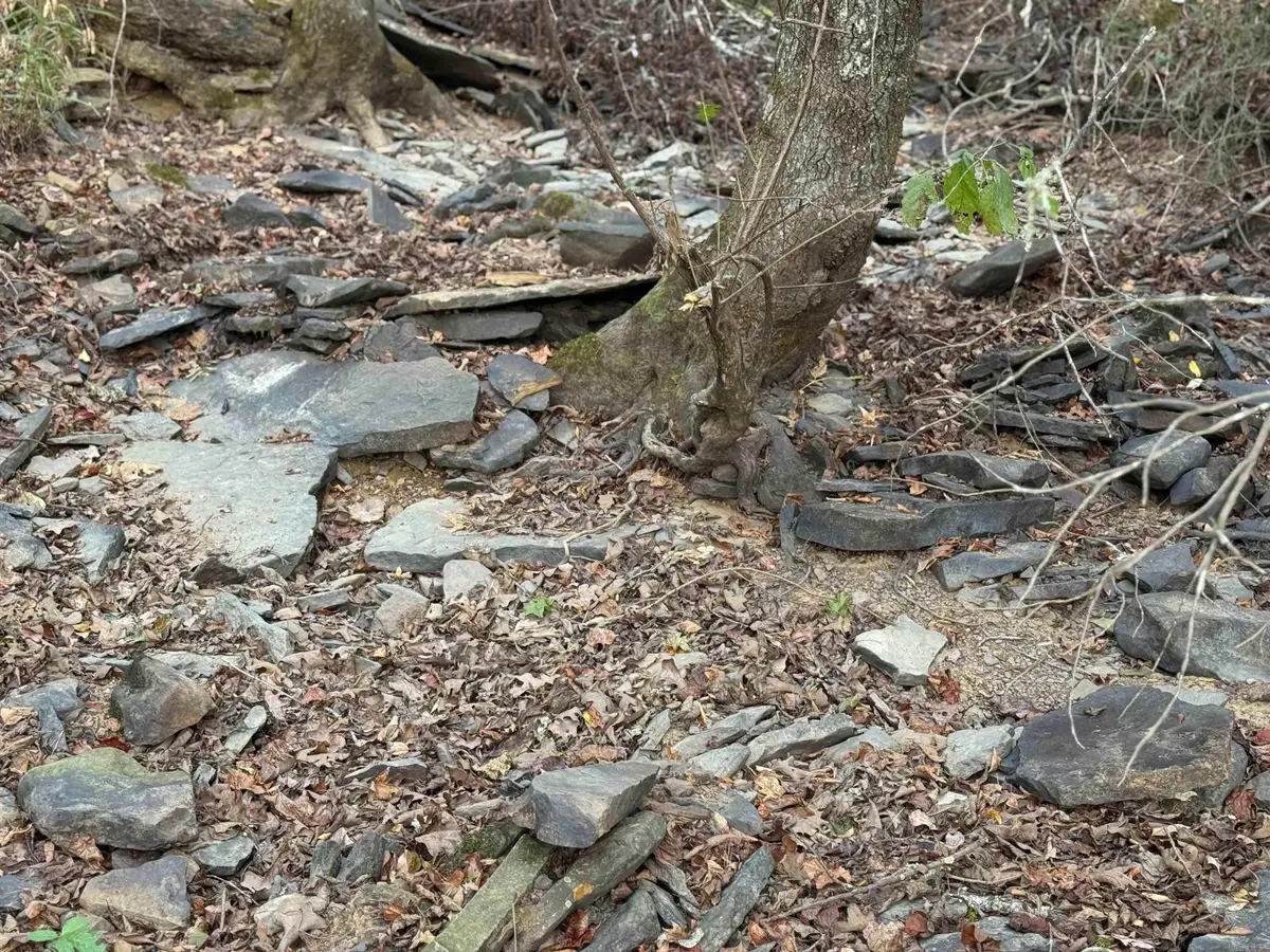 271 County Line, Rose Bud, AR 72137 - Image #1