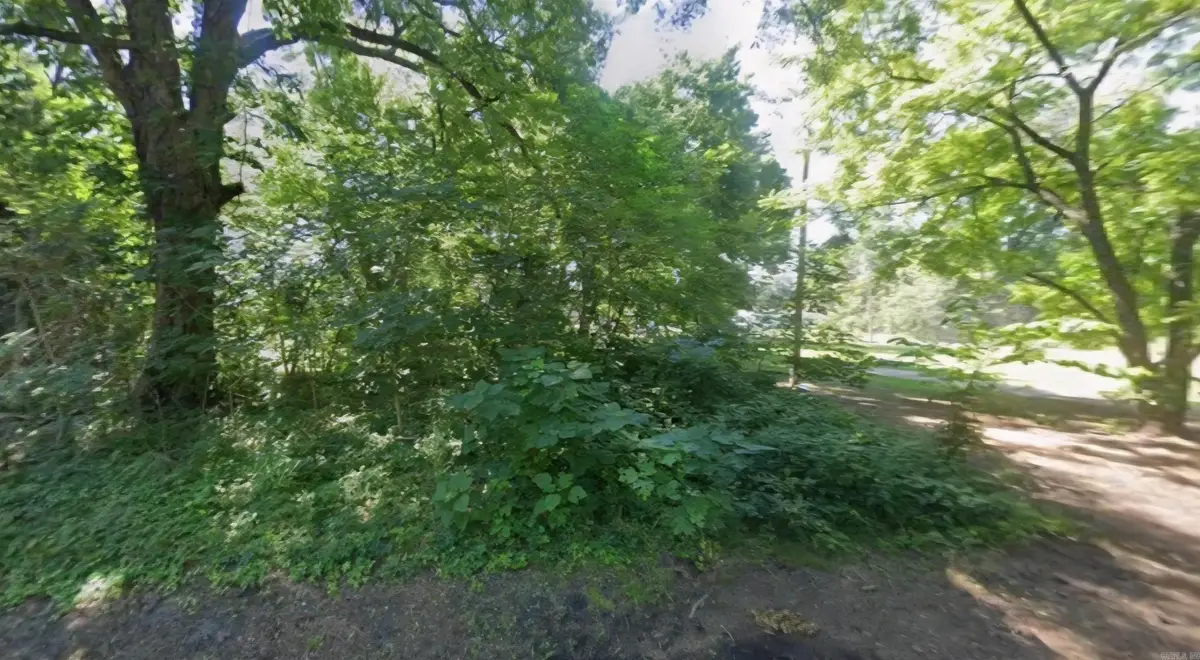 Lot 9-10 W 1st Street, Rondo, AR 72355 - #1