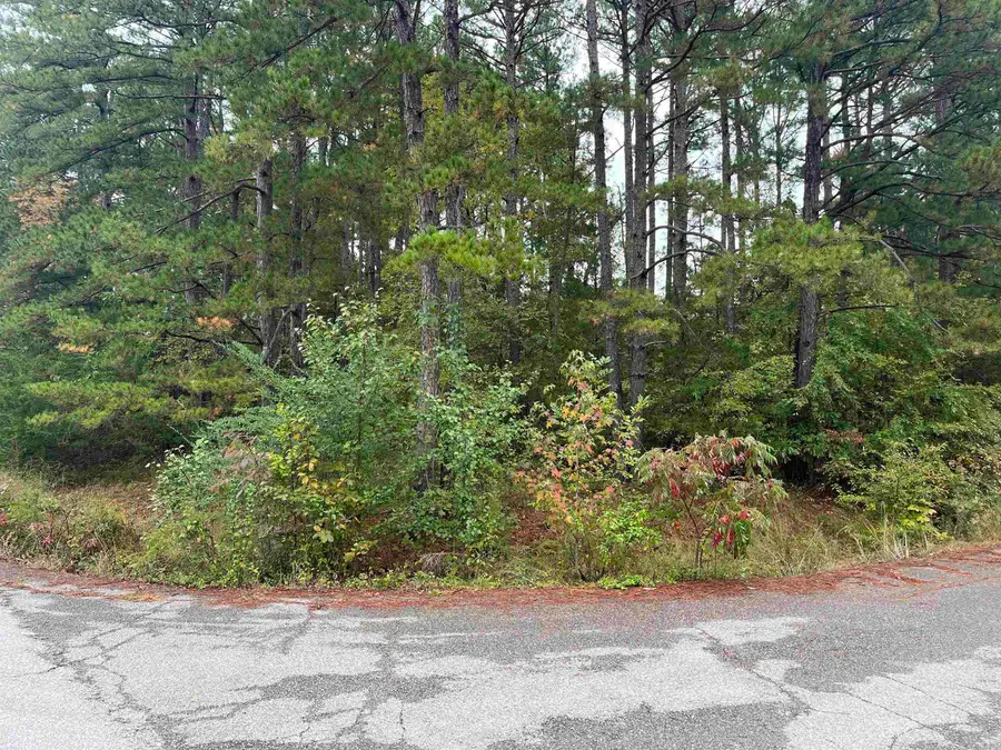 000 Redbud St., Higden, AR 72067 - Image #3