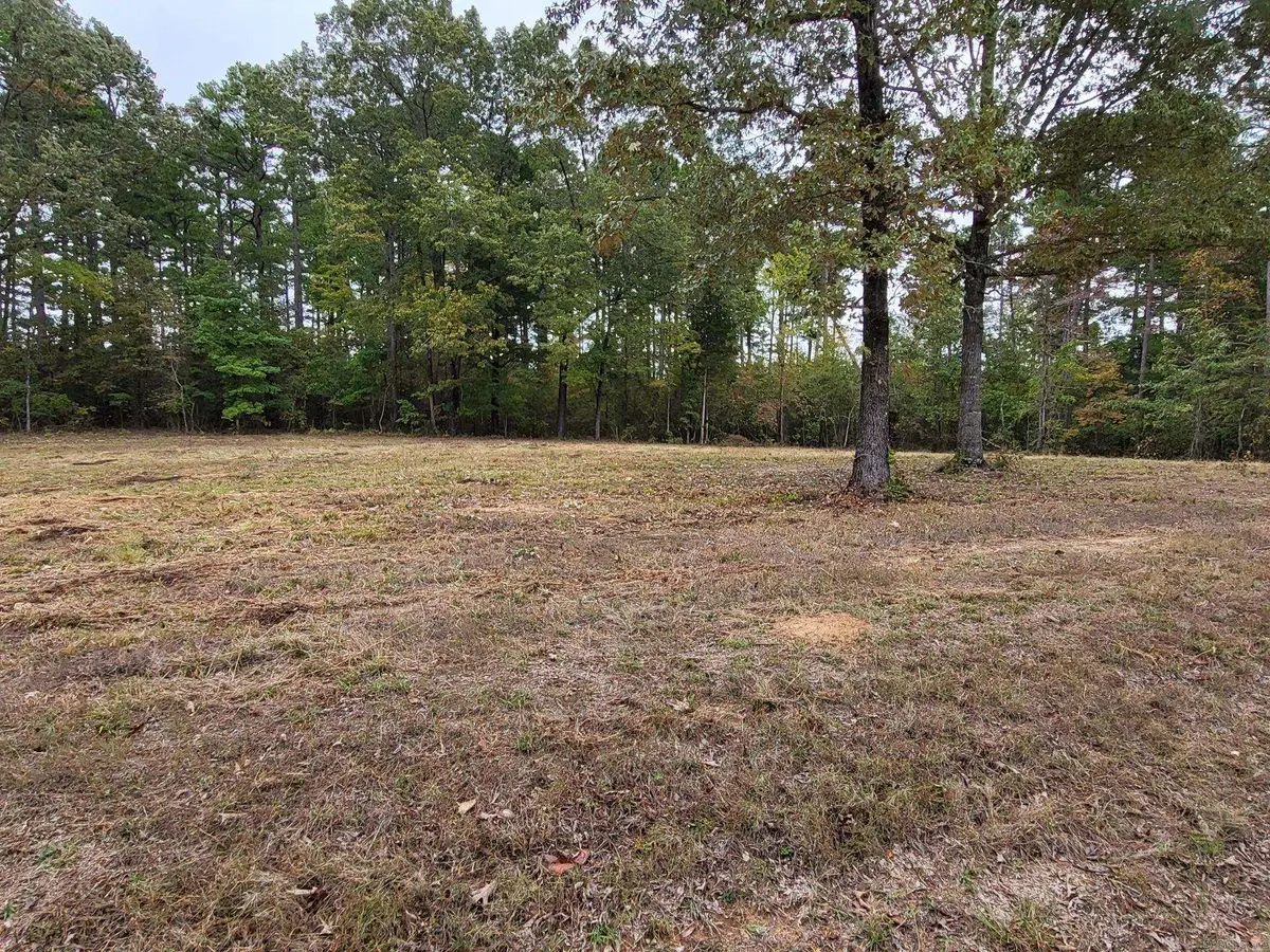 Lot 52 Burning Tree Rd., Greers Ferry, AR 72067 - Image #1