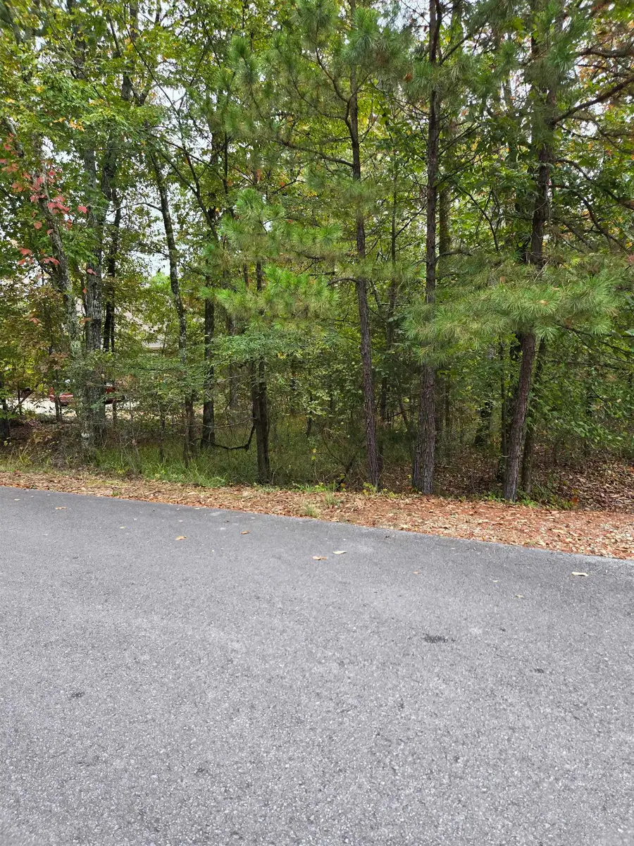 XX Pinocha Way, Hot Springs Village, AR 71909 - Image #2