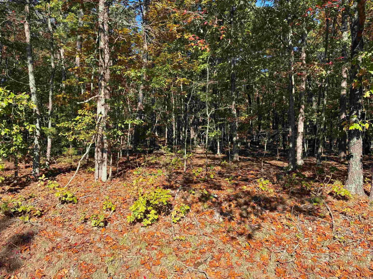 00 Dunlop Road, Fairfield Bay, AR 72088 - Image #1