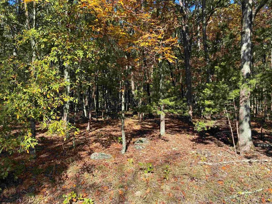 00 Dunlop Road, Fairfield Bay, AR 72088 - Image #2