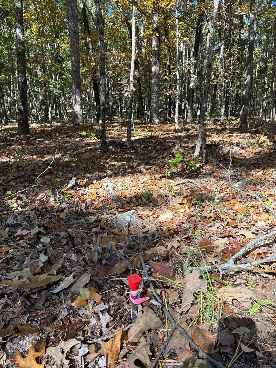 00 Dunlop Road, Fairfield Bay, AR 72088 - Image #3