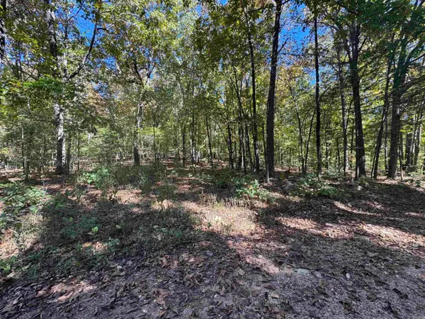 0 River Trace Lane, Hardy, AR 72542