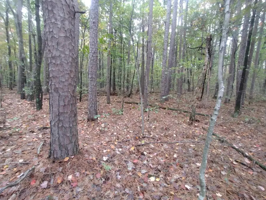 0 Hwy 263, Smart, AR 72560 - Image #2