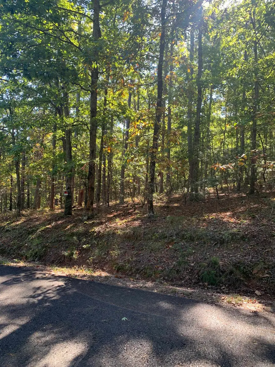 42 Devaca Way Way, Hot Springs Village, AR 71909 - Image #3