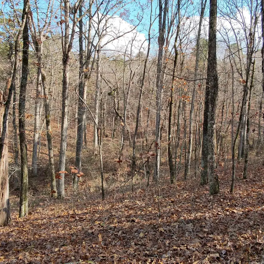 0 Pryor Mountain Dr, Quitman, AR 72131 - Image #2