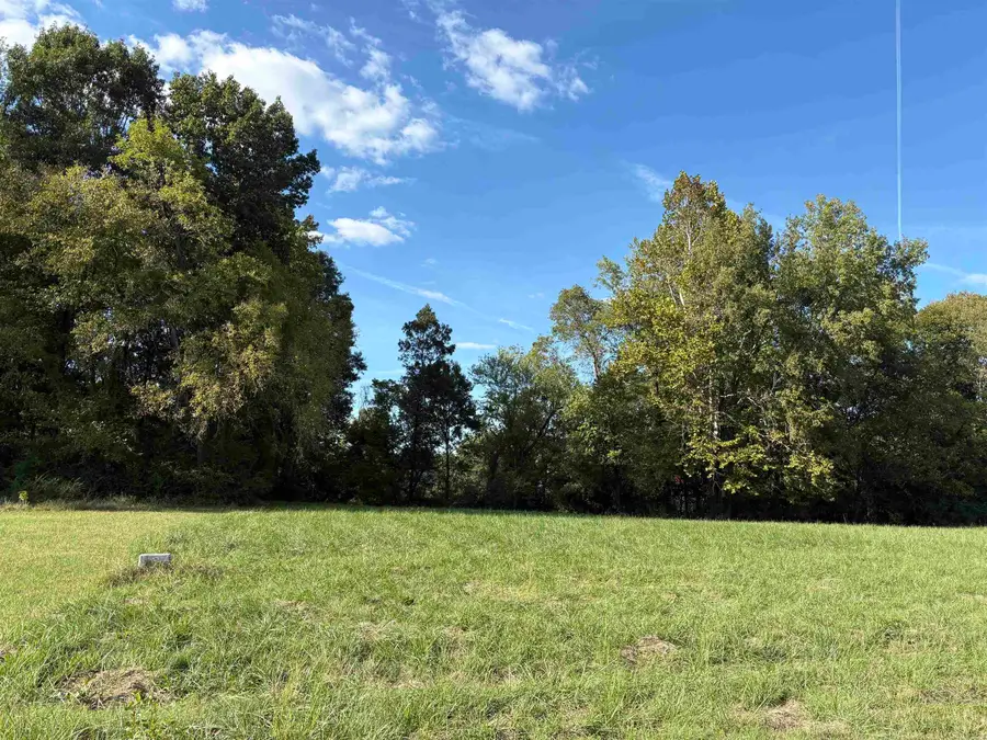 Lot 3 River Drive Estates East, Pangburn, AR 72121 - Image #3