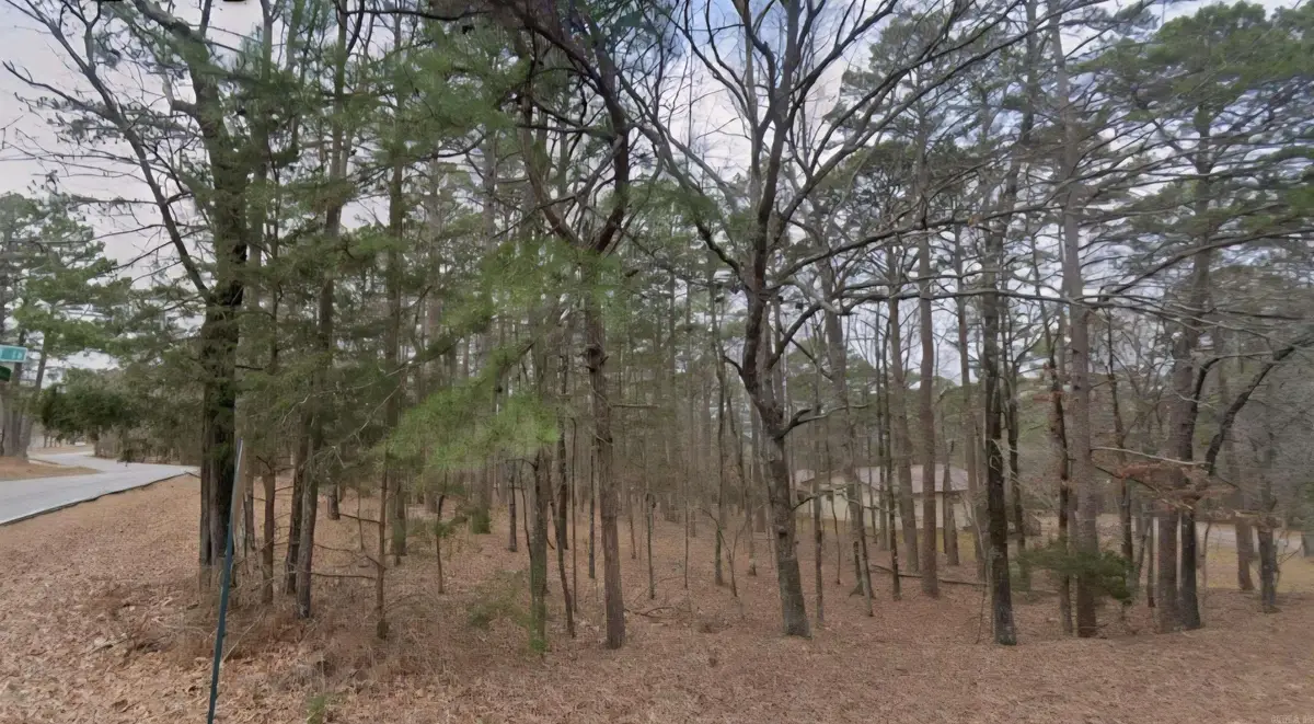 Lot 2 Oakwood Lane, Fairfield Bay, AR 72088 - Image #1