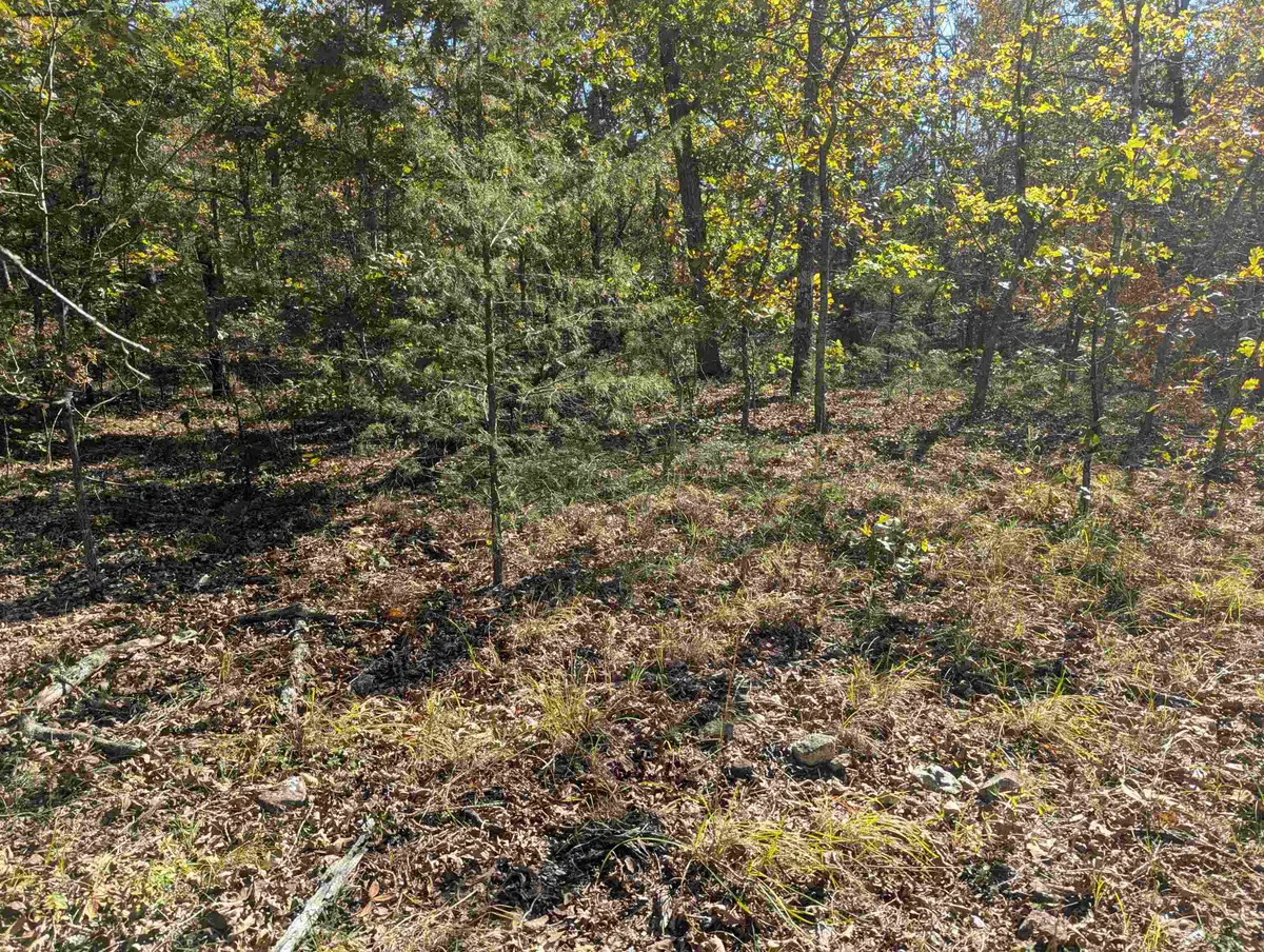 TBD Dearborn Ln, Salem, AR 72576 - Image #1