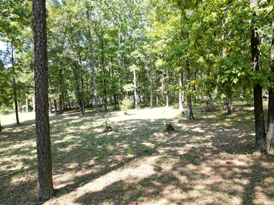 507 Henderson Road, Clinton, AR 72031 - Image #2
