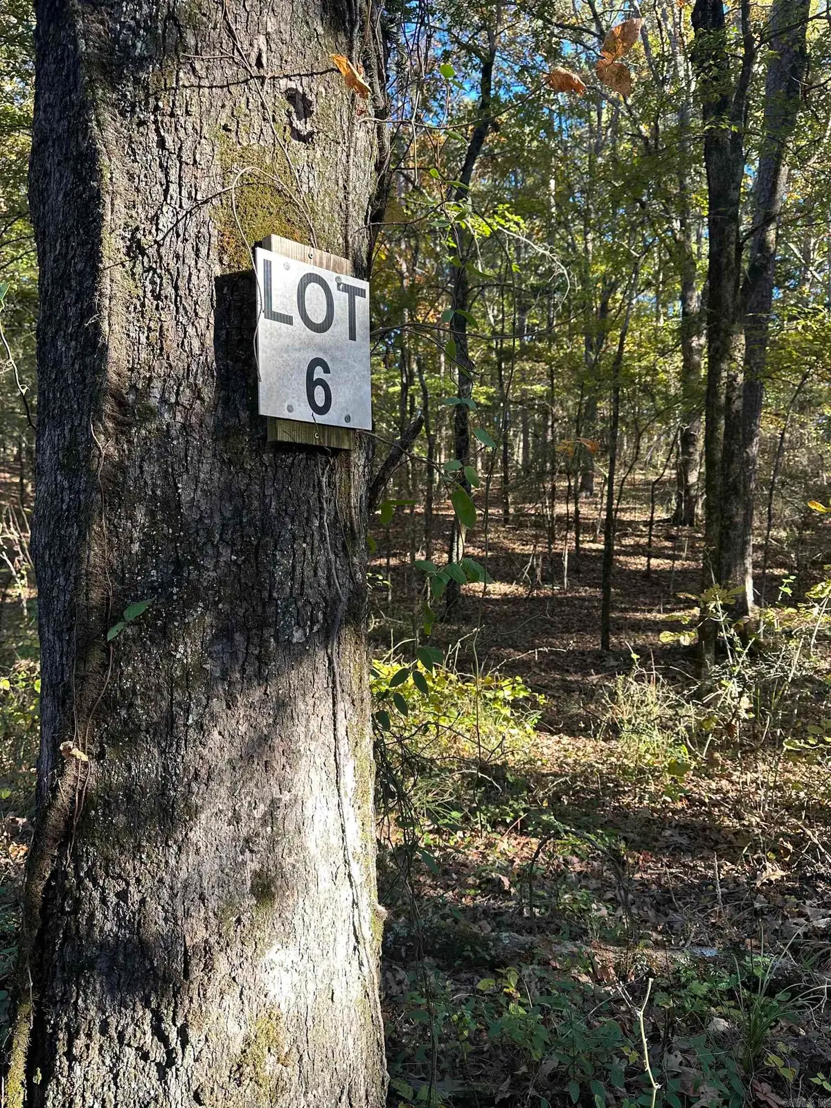 226 Cathedral Pines Ln, Mena, AR 71953 - Image #1