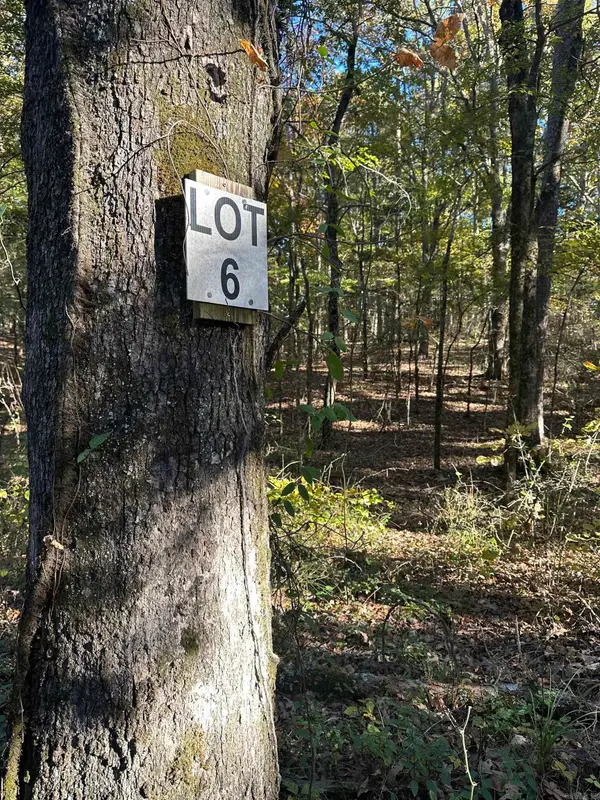 226 Cathedral Pines Ln, Mena, AR 71953