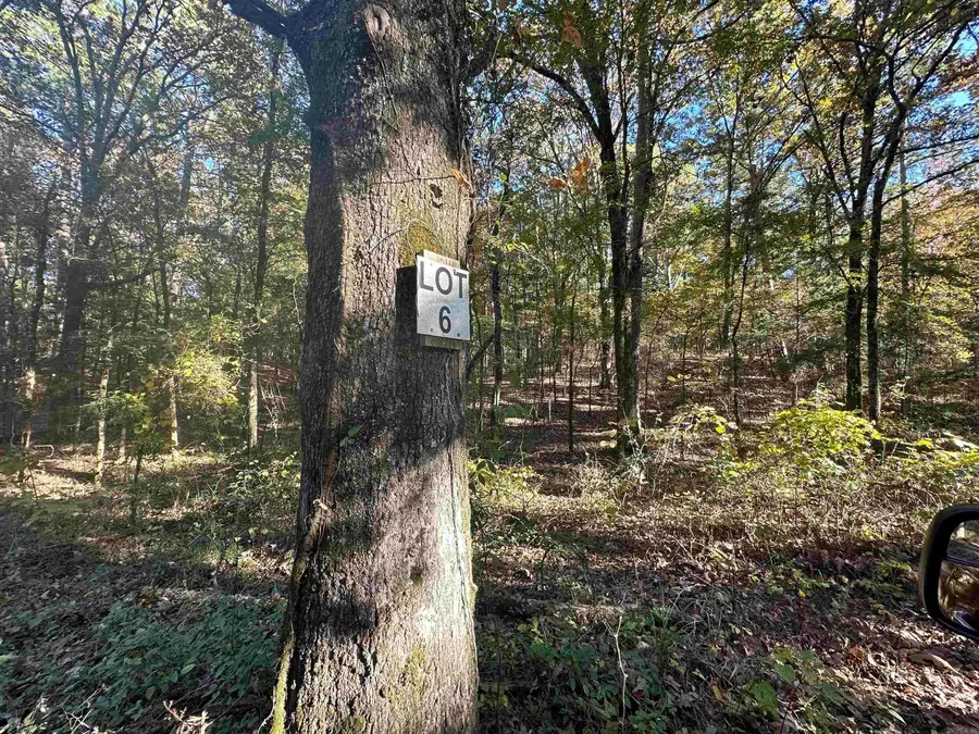 226 Cathedral Pines Ln, Mena, AR 71953 - Image #2