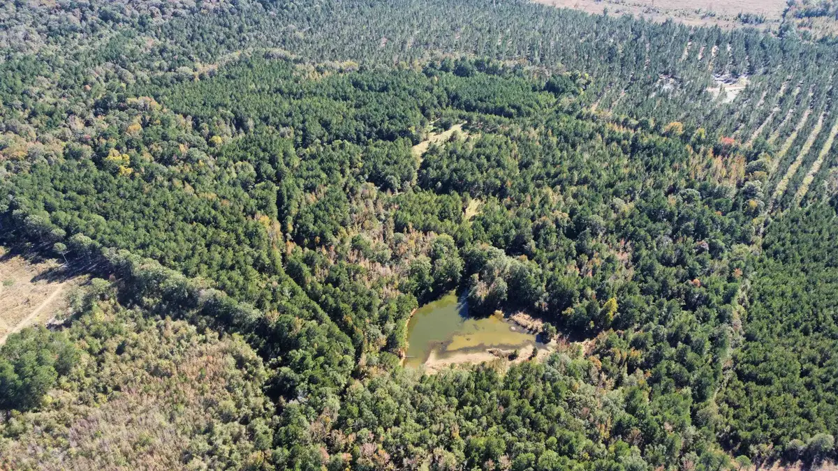 Bradley 52 Road Road, Hermitage, AR 71647 - Image #1