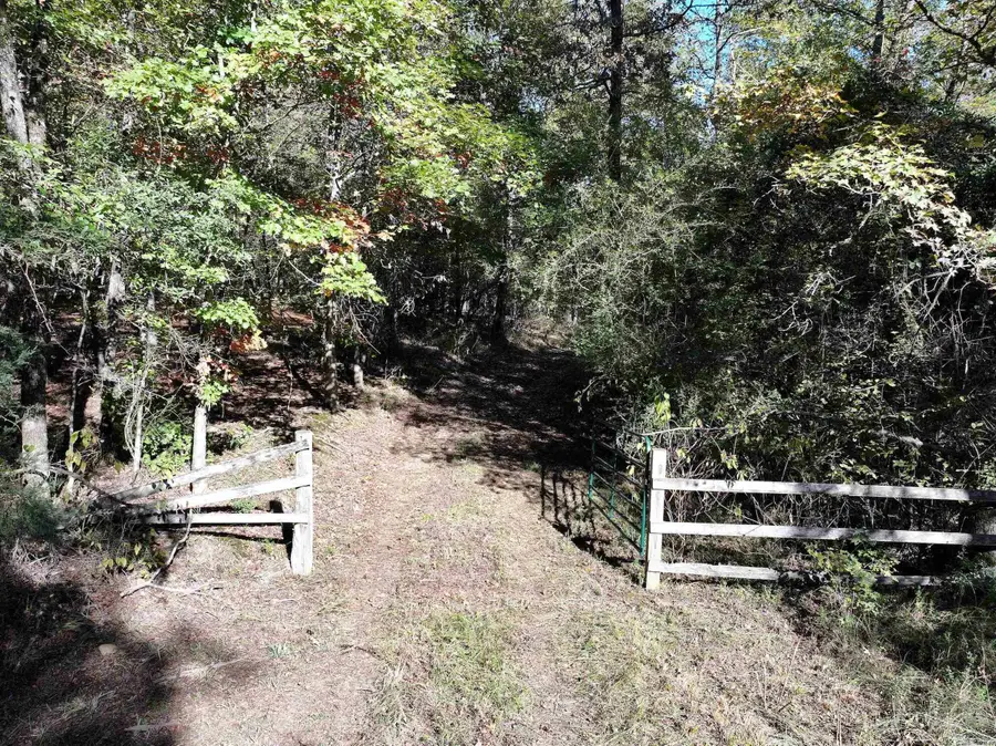 XXX Sour Springs Road, Murfreesboro, AR 71958 - Image #2