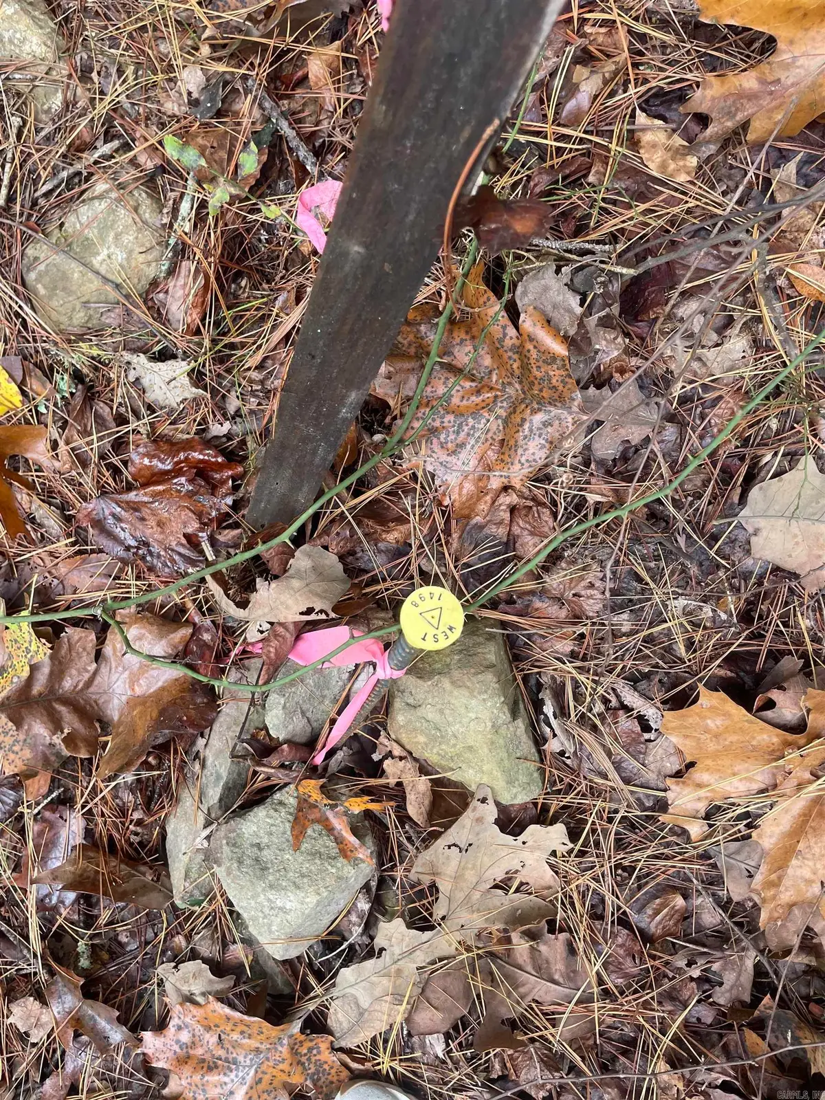 Address Withheld By Seller, Clinton, AR 72031 - Image #1