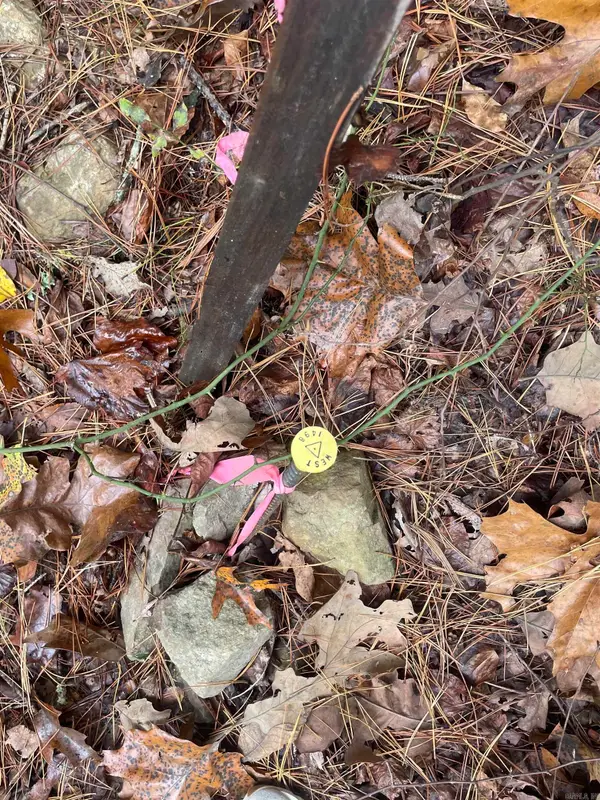 Address Withheld By Seller, Clinton, AR 72031