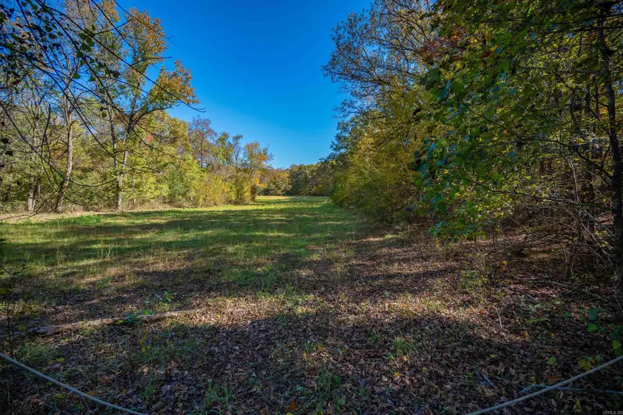 317 Tweedy, McRae, AR 72102 - Image #2