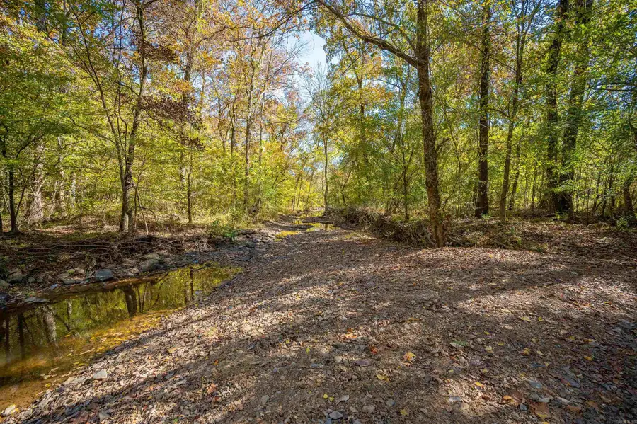 317 Tweedy, McRae, AR 72102 - Image #3