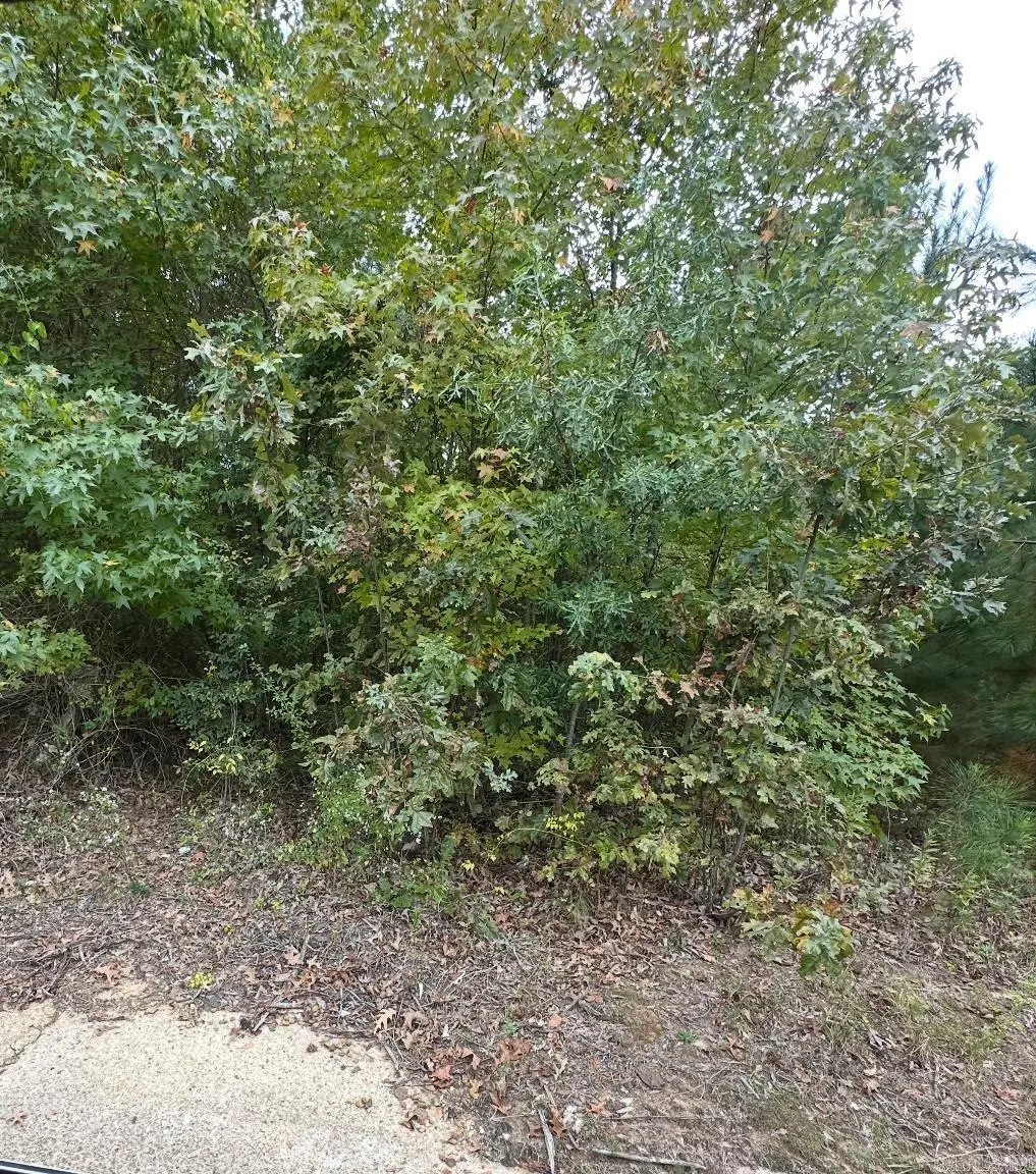 354 Harrison Ave, Camden, AR 71701 - Image #1