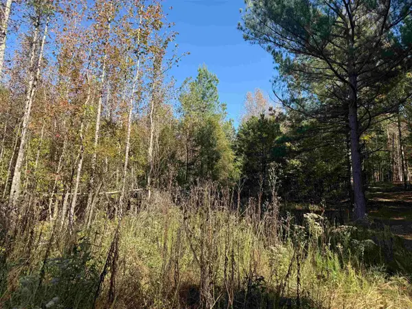 9.57 acres Greene 756 Road, Paragould, AR 72450