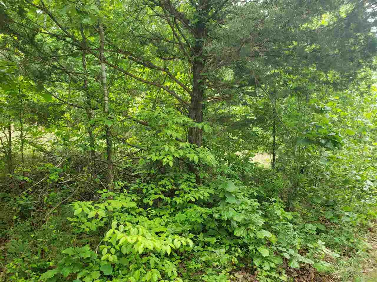 L-27 B-5 Flathead Drive, Cherokee Village, AR 72529 - Image #1