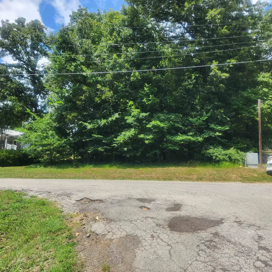 L-36, B-14 Cochise Road, Cherokee Village, AR 72529 - Image #2