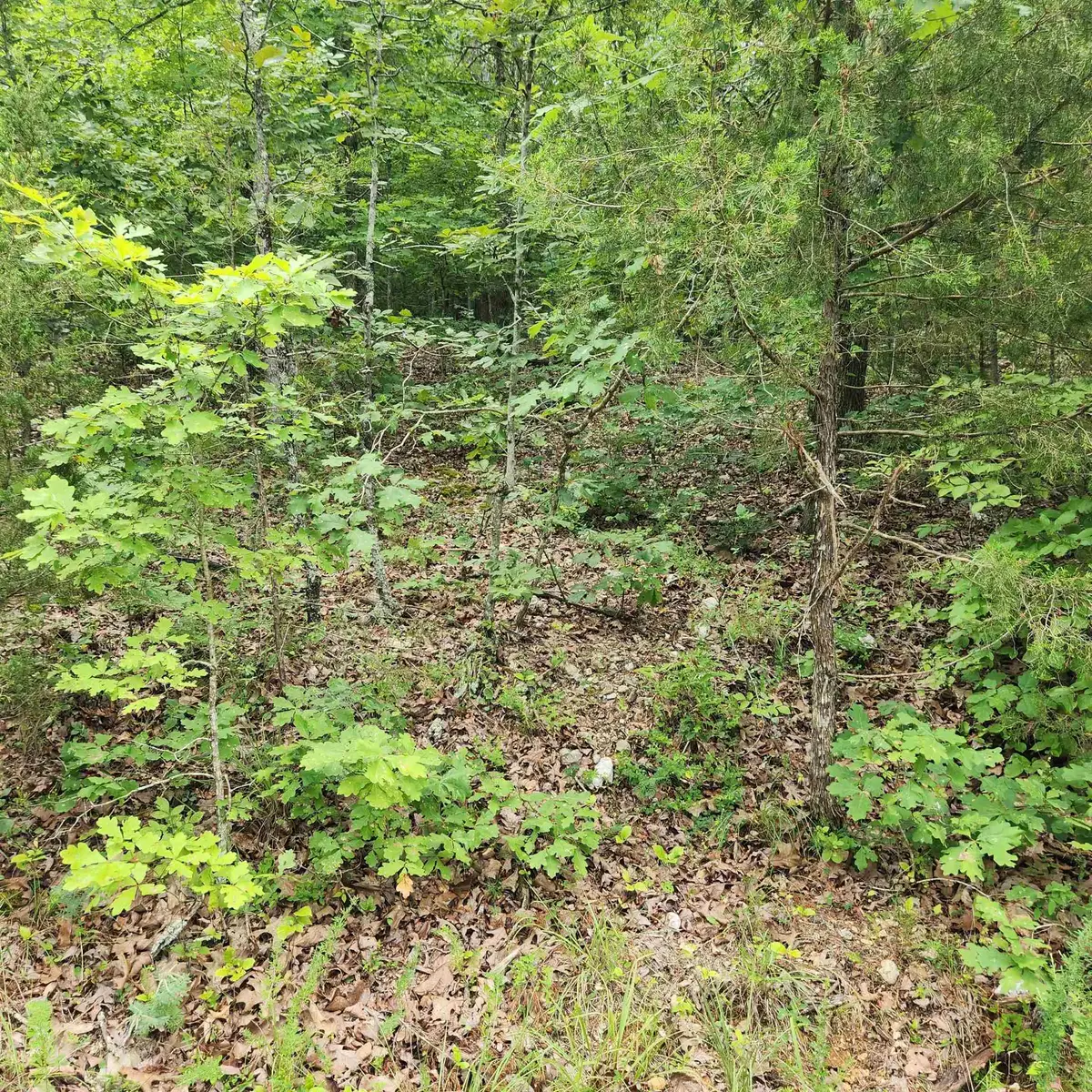 L-137, B-18 Tampa Trace, Cherokee Village, AR 72529 - Image #1