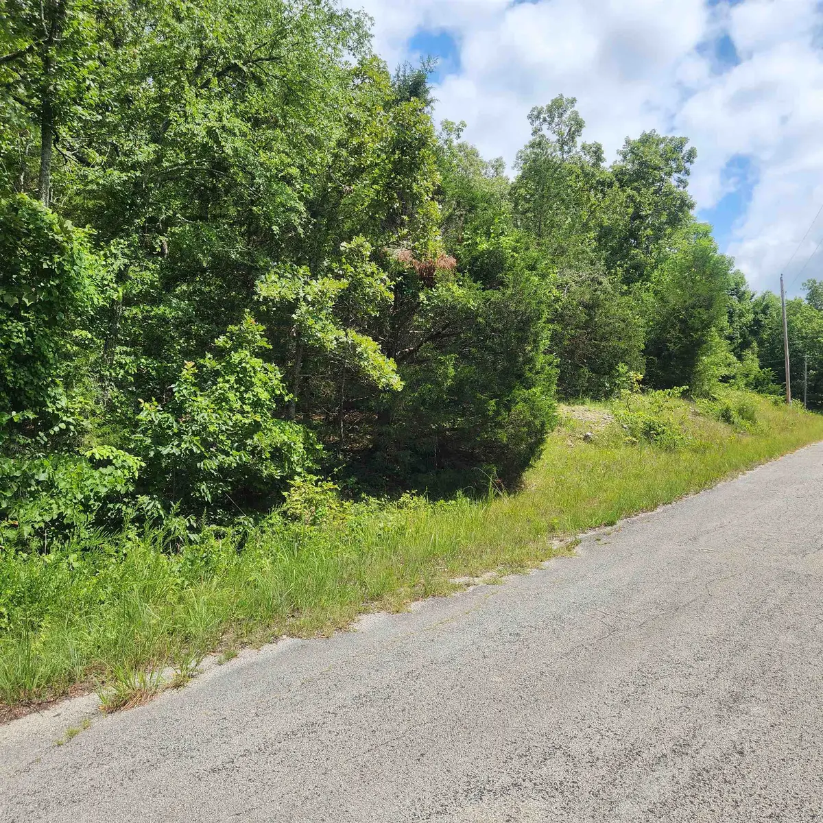 Address Withheld By Seller, Cherokee Village, AR 72529 - Image #1