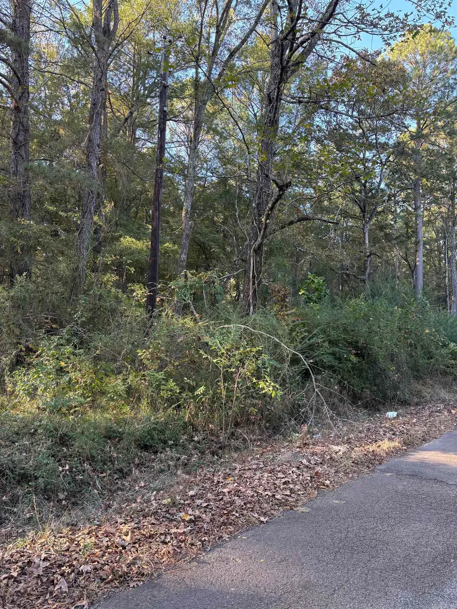 TBD Beavert Lane, Murfreesboro, AR 71958 - Image #2