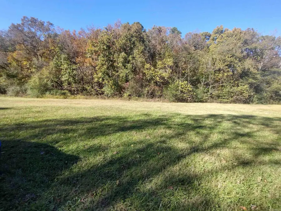 0 Peace Valley Dr, Mountain View, AR 72560 - Image #3