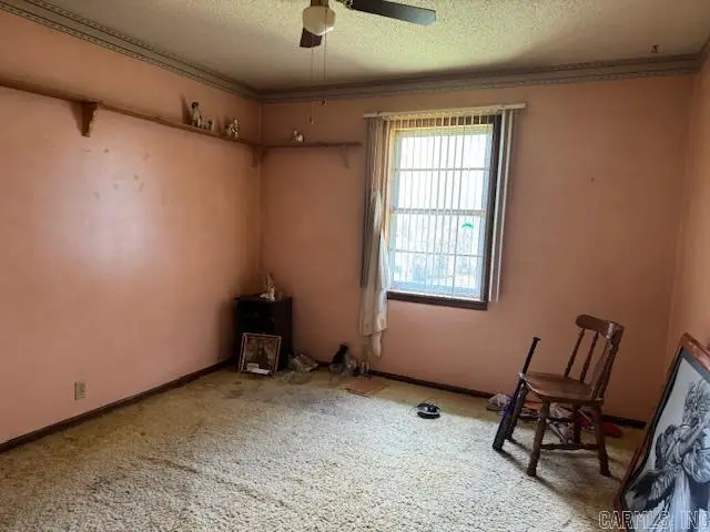 119 W Johnson Drive, Flippin, AR 72634 - Image #3