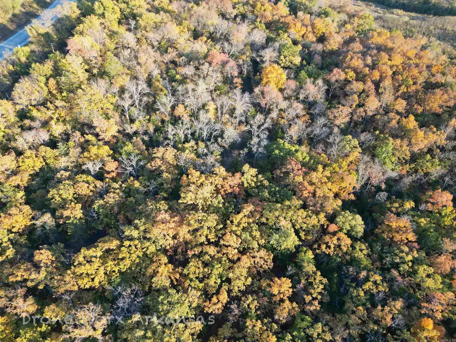 000 Range Street, Marshall, AR 72650 - Image #3