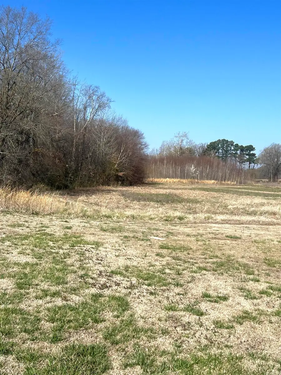 20.12 Peachtree, Jonesboro, AR 72405 - Image #3