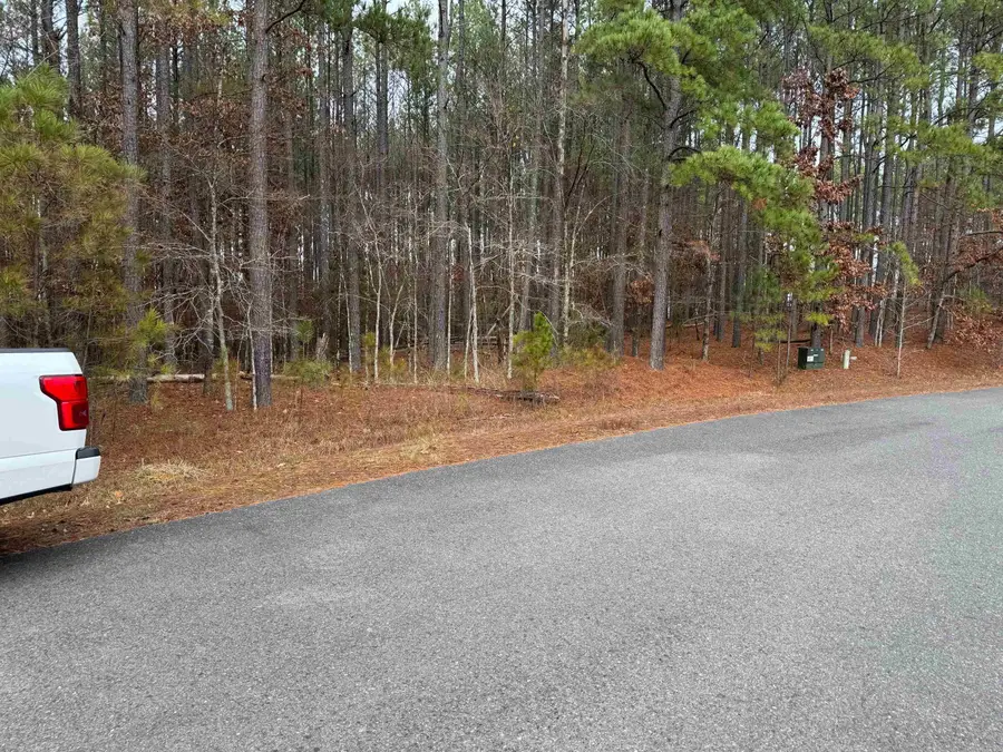 19 Alabanza Lane, Hot Springs Village, AR 71909 - Image #2